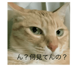 487844159
