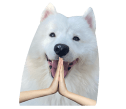 ลายที่ 1