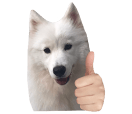 ลายที่ 3