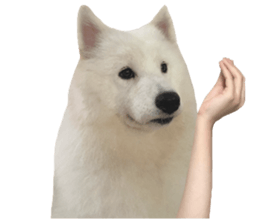 ลายที่ 7