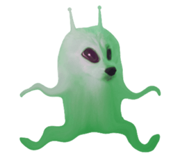 ลายที่ 23