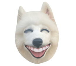 ลายที่ 27