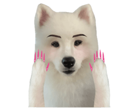 ลายที่ 33