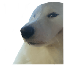 ลายที่ 35