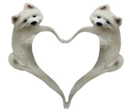 ลายที่ 39