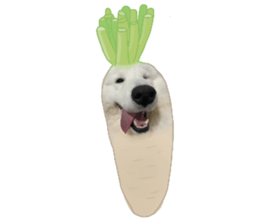 ลายที่ 41