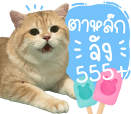 487899670