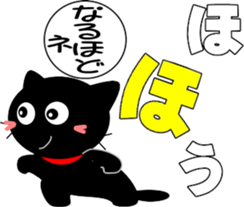 487901977