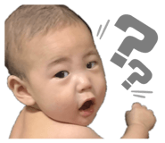 487913114