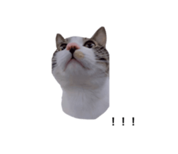 488067674