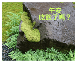 488068550