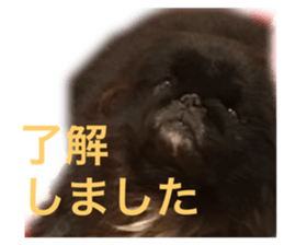 488086263