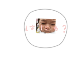 488181346