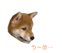 488189702