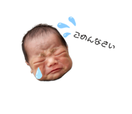 488190431