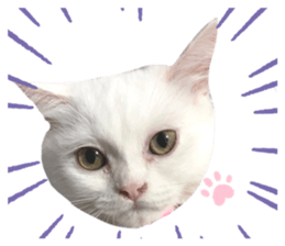 488287449