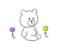 488292570