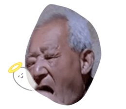 488334025