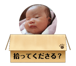 488334285