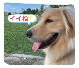 488366200