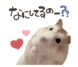 488376976