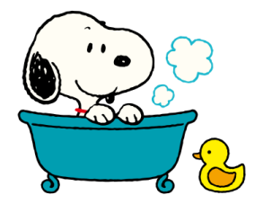Snoopy แชทกันทุกวันเลยนะ รูปที่ 11
