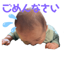 488453746