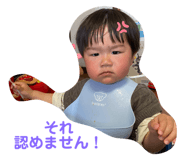 488556118