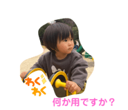 488556126