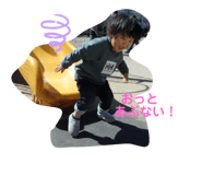 488556141