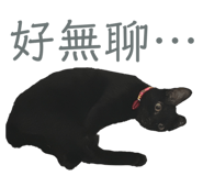 488589241