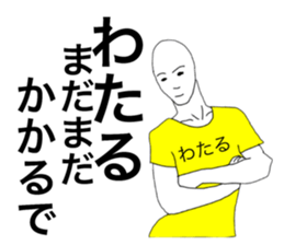 48860036