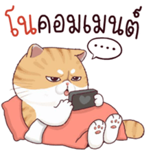 488640054