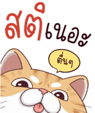 488640055
