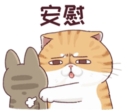 488653355