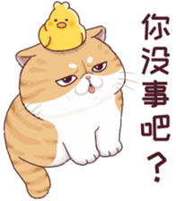 488653364