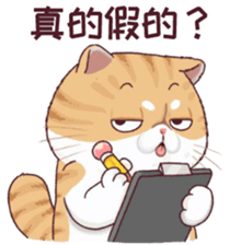 488653367