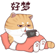 488653371