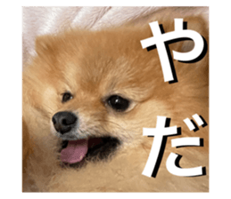 488666872