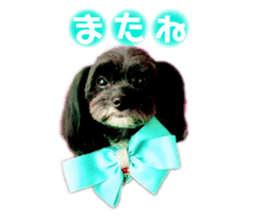 488670375