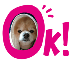 488684160