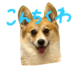 488688462
