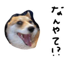 488688465