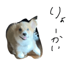 488688473