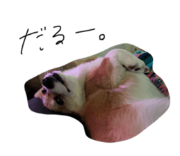 488688474