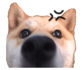 488694603
