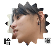 488757735