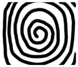 488784705