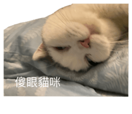 488787068