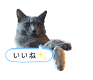 488788374